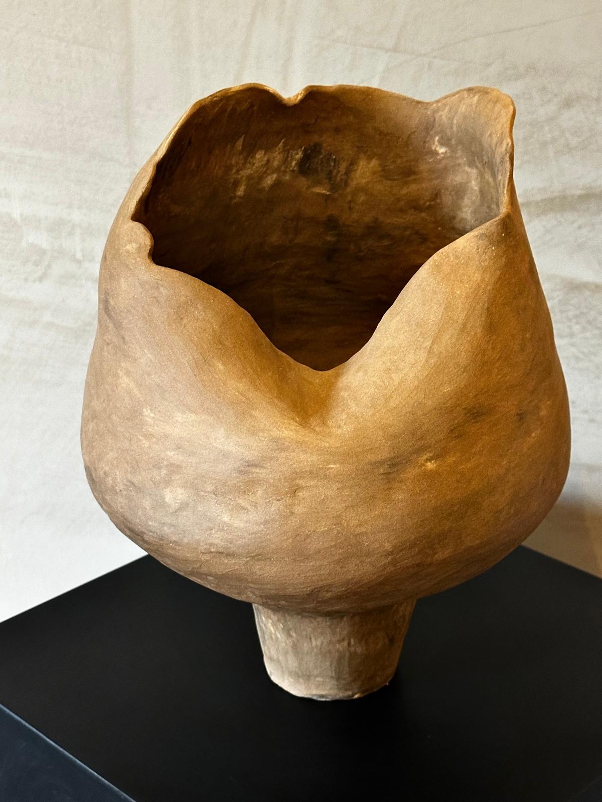 dune edition I image 2